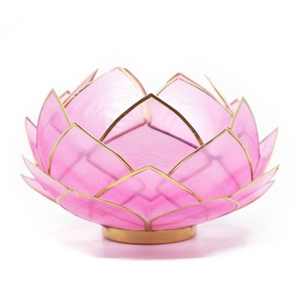Lotus Sfeerlicht Roze Goudrand | Groot