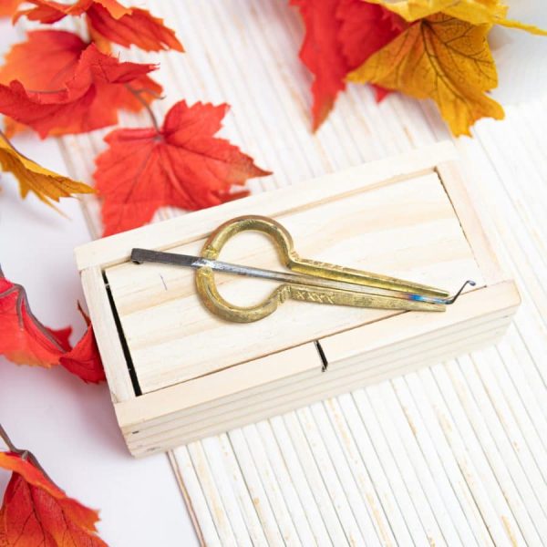 Authentieke Murchunga Mondharp Messing | 10 cm - Afbeelding 2