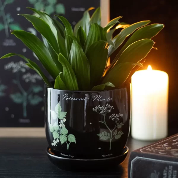 Giftige Planten | Plantenpot – Bild 2