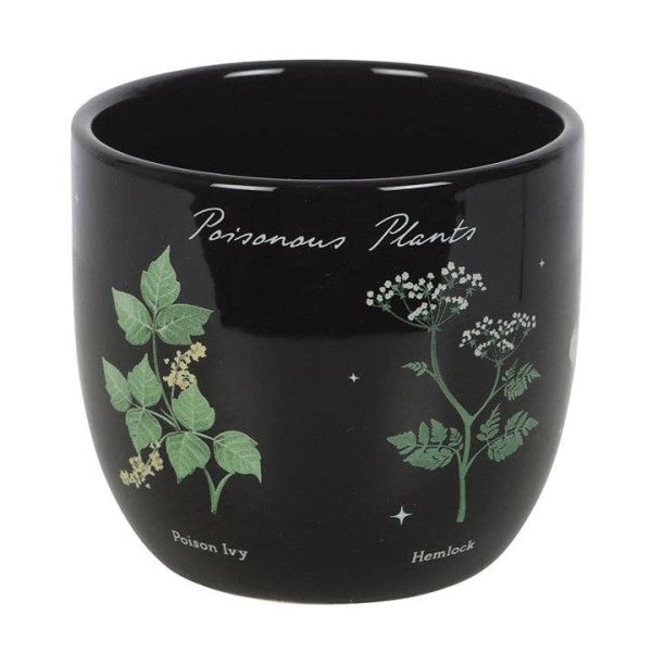 Giftige Planten | Plantenpot