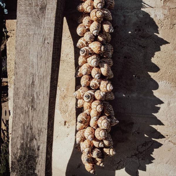 Schelpstreng Donkerbruin | 30 cm - Afbeelding 3