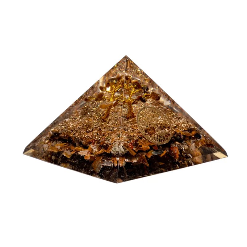 Tijgeroog Pyramide | Levensboom (± 7 cm) - Afbeelding 2