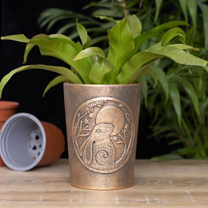 Plantenpot | Lisa Parker Moon Gazing Hare | Bronskleurig | 16,5 cm - Afbeelding 4
